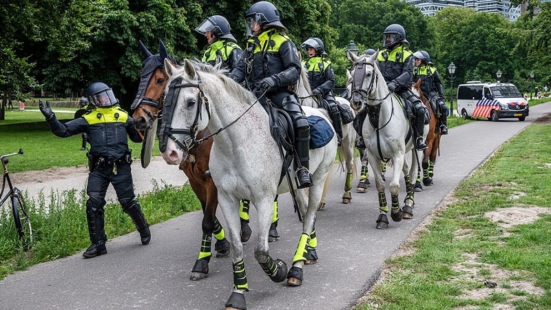 bereden politie, politiepaard, me, mobiele eenheid, Foto: Korpsmedia politie