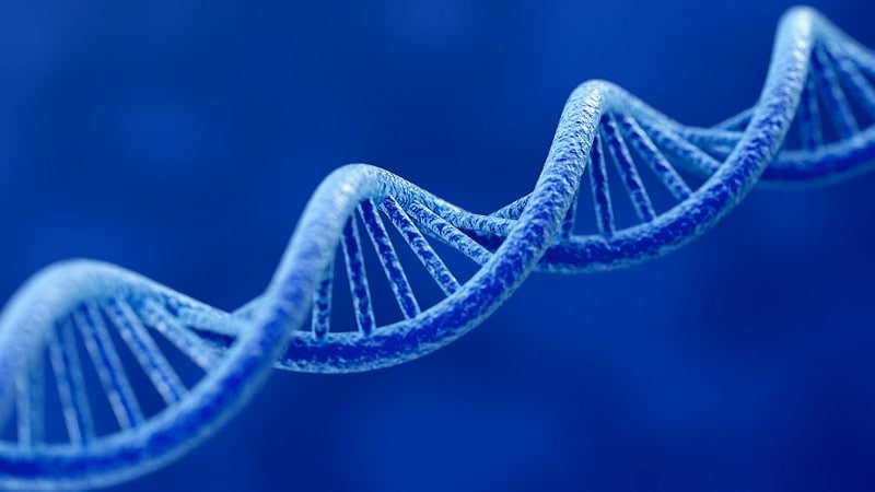 dna, Foto: Korpsmedia politie / istock