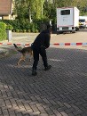 Politie onderzoekt schietincident Dronrijp